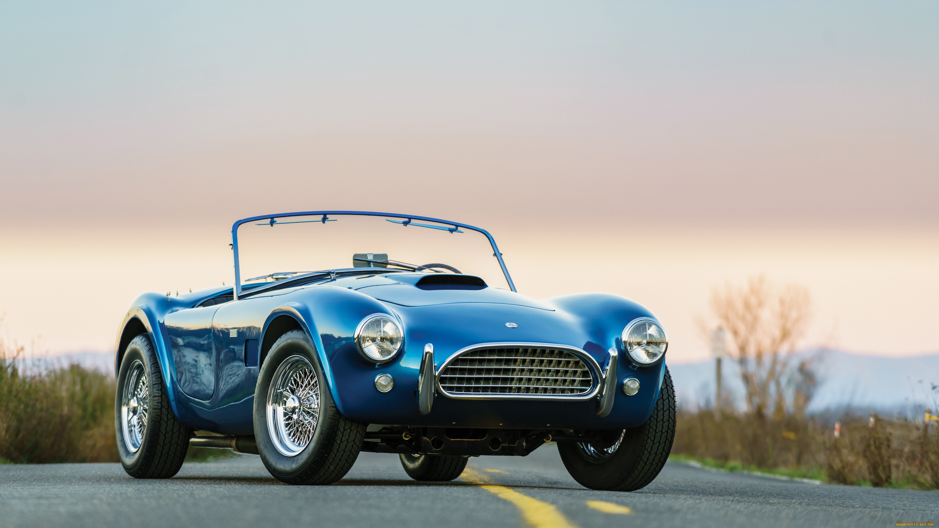 , ac cobra, shelby, cobra